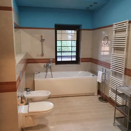 Jasny Dwor 波兰尼卡-兹德鲁伊