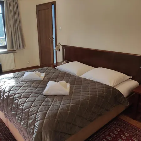 Hotel Jasny Dwór *